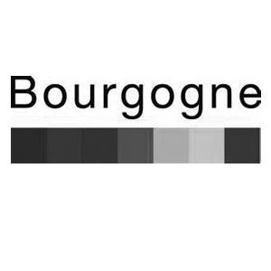 Bourgogne Tourisme, Comité régional de tourisme de Bourgogne